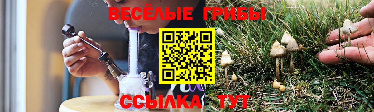 Малоярославец  Галлюциногенные грибы прущие грибы  Галлюциногенные грибы мицелий  Вход с VPN 